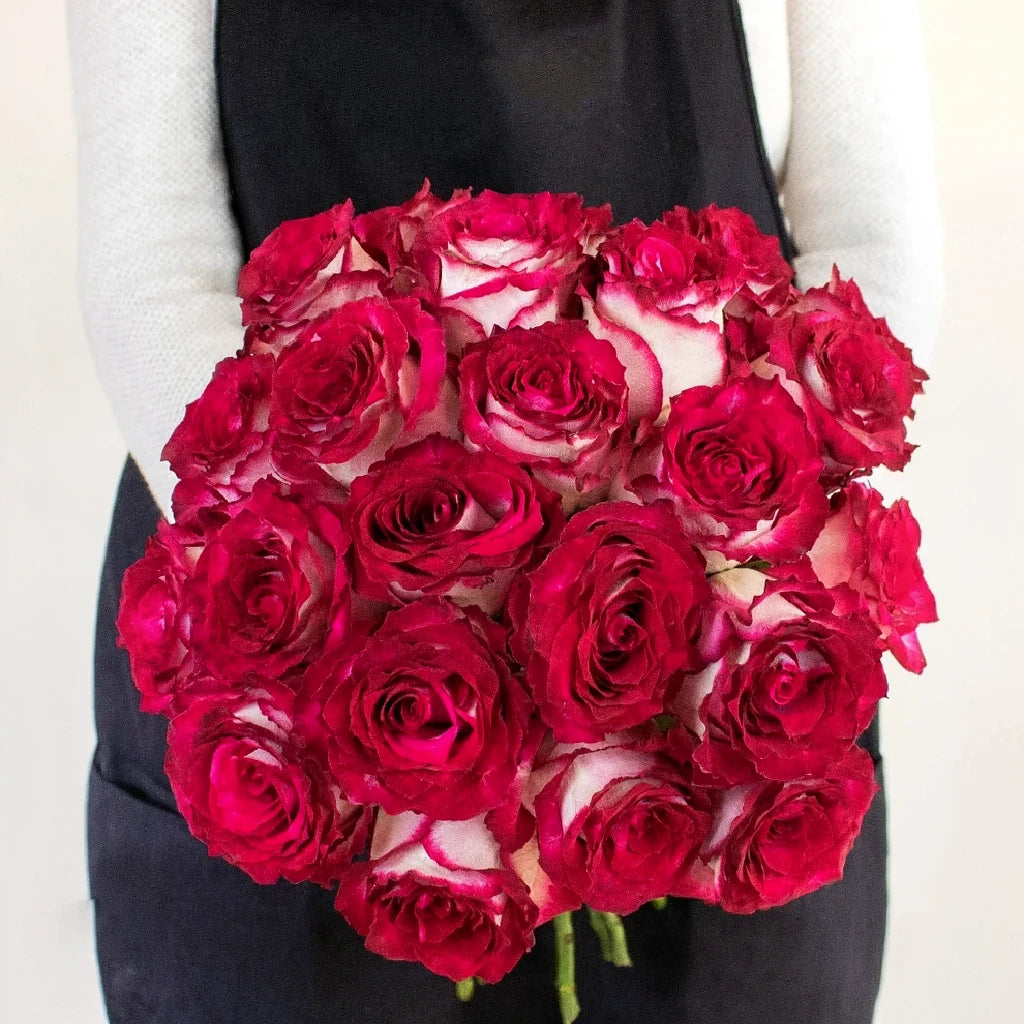Cinderella Roses Standard - alternative 3