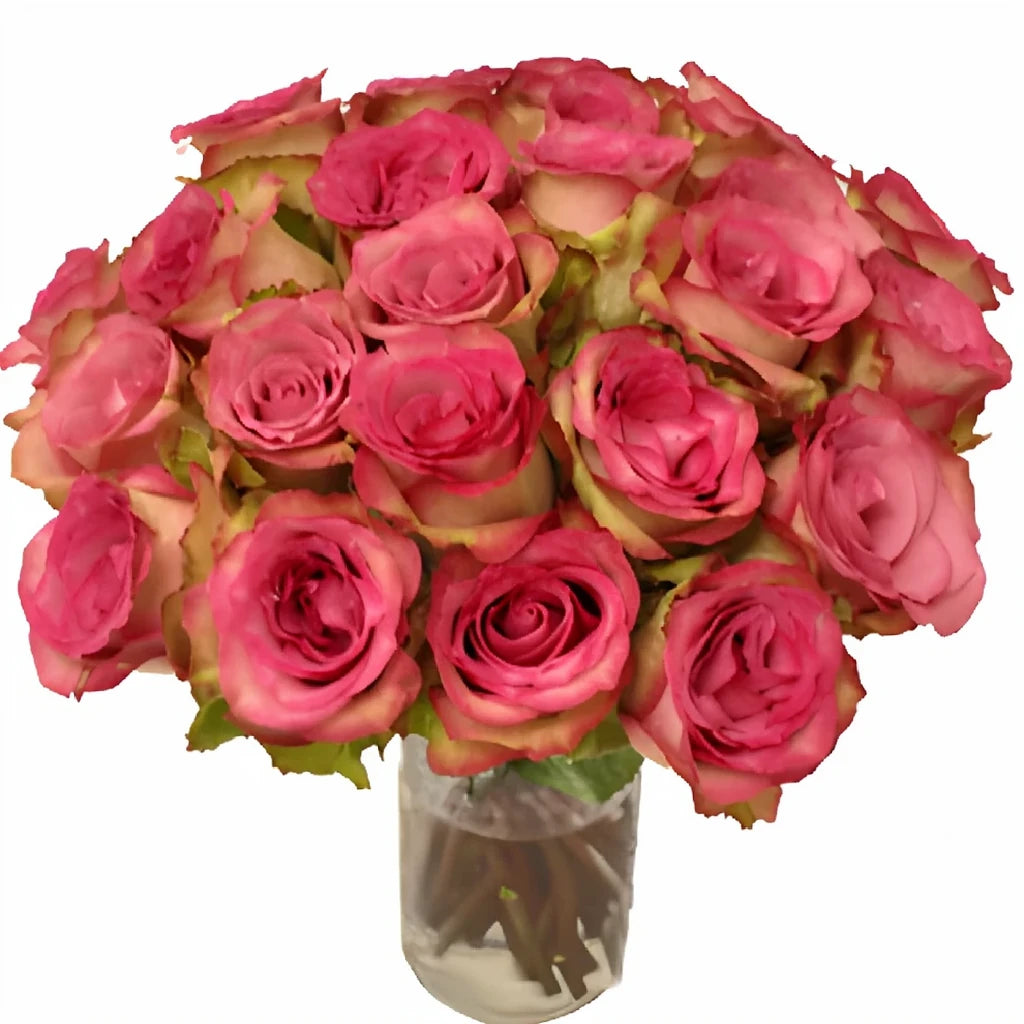 Classic Cezanne Roses Standard - alternative 1