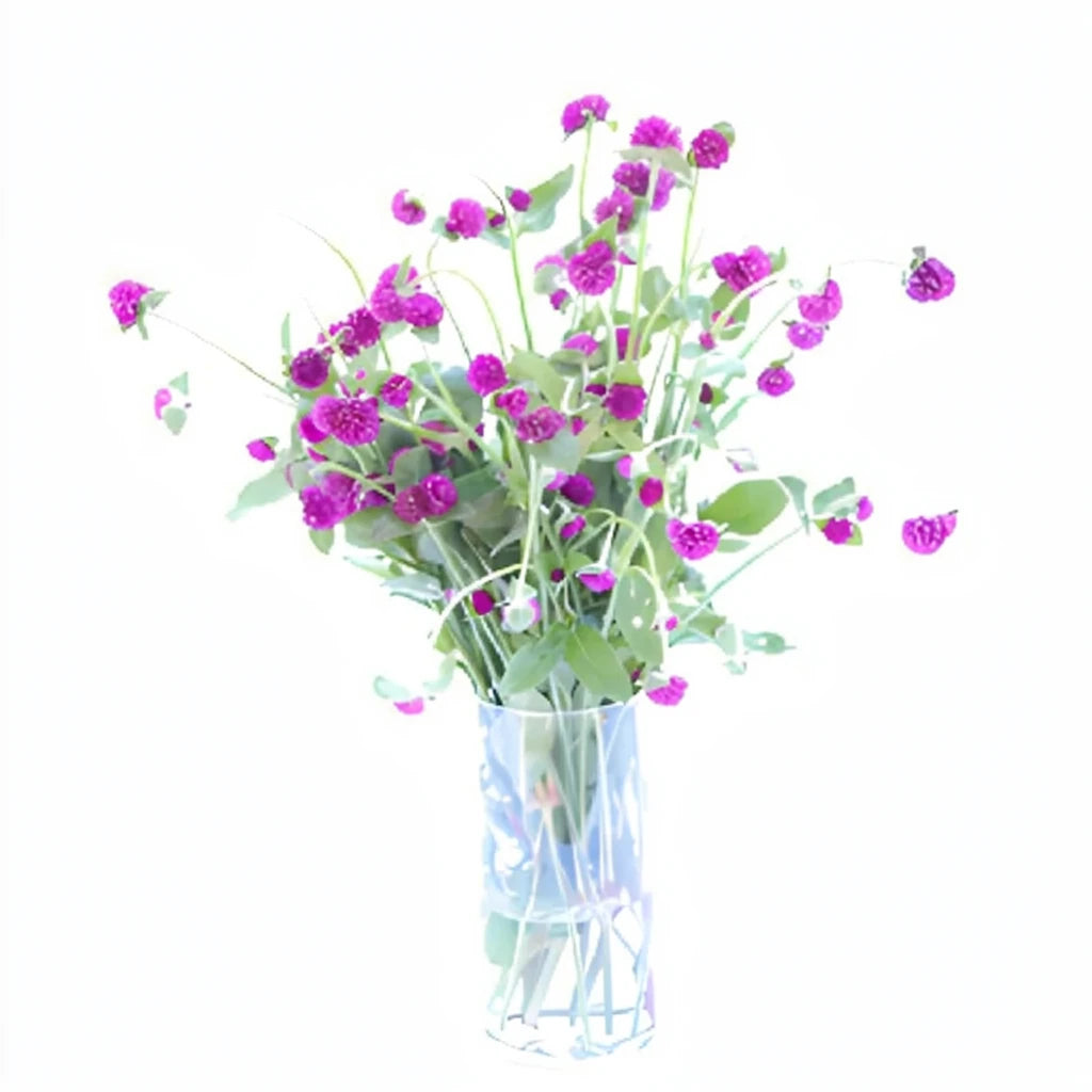 Purple Gomphrena - alternative 1