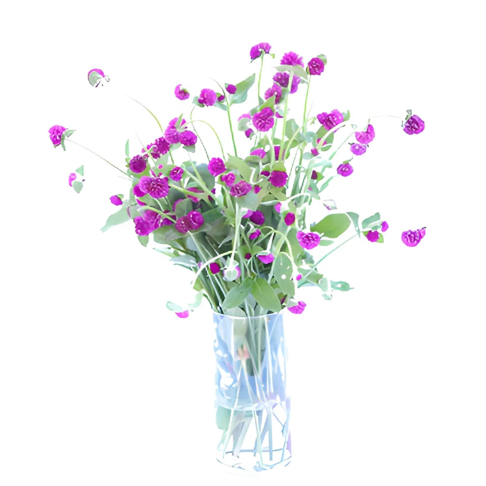 Purple Gomphrena - alternative 4