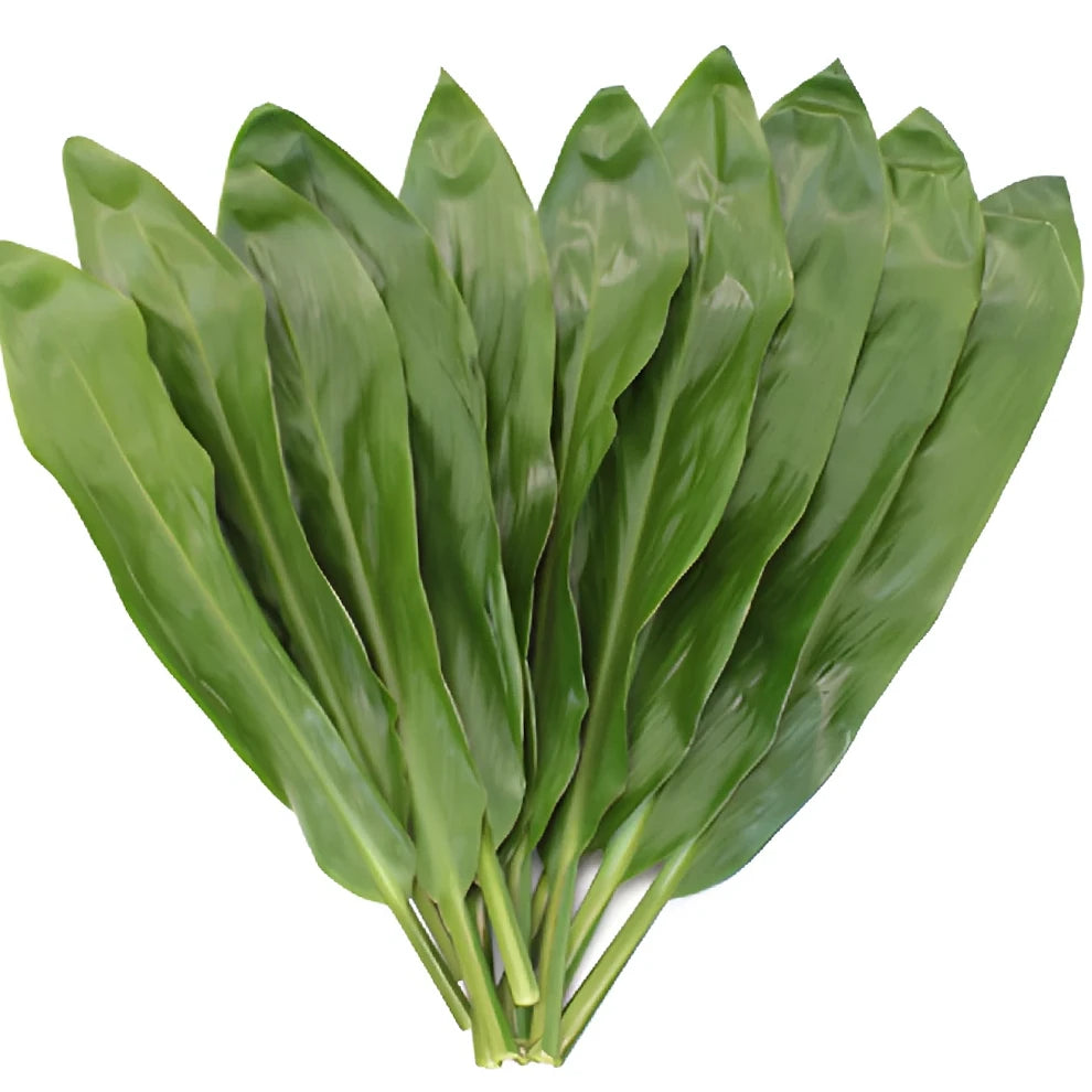 Ti Leaves Greenery - main