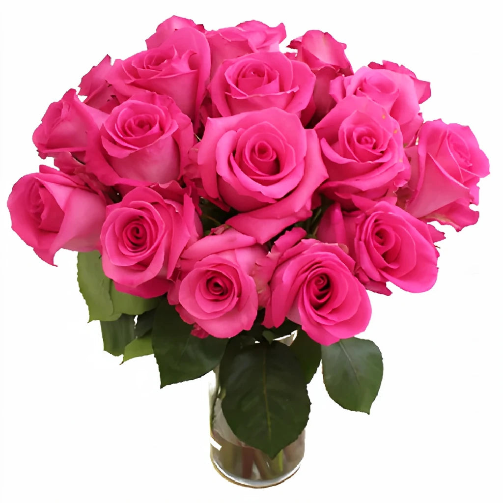 Candy Avalanche Roses Standard - alternative 1