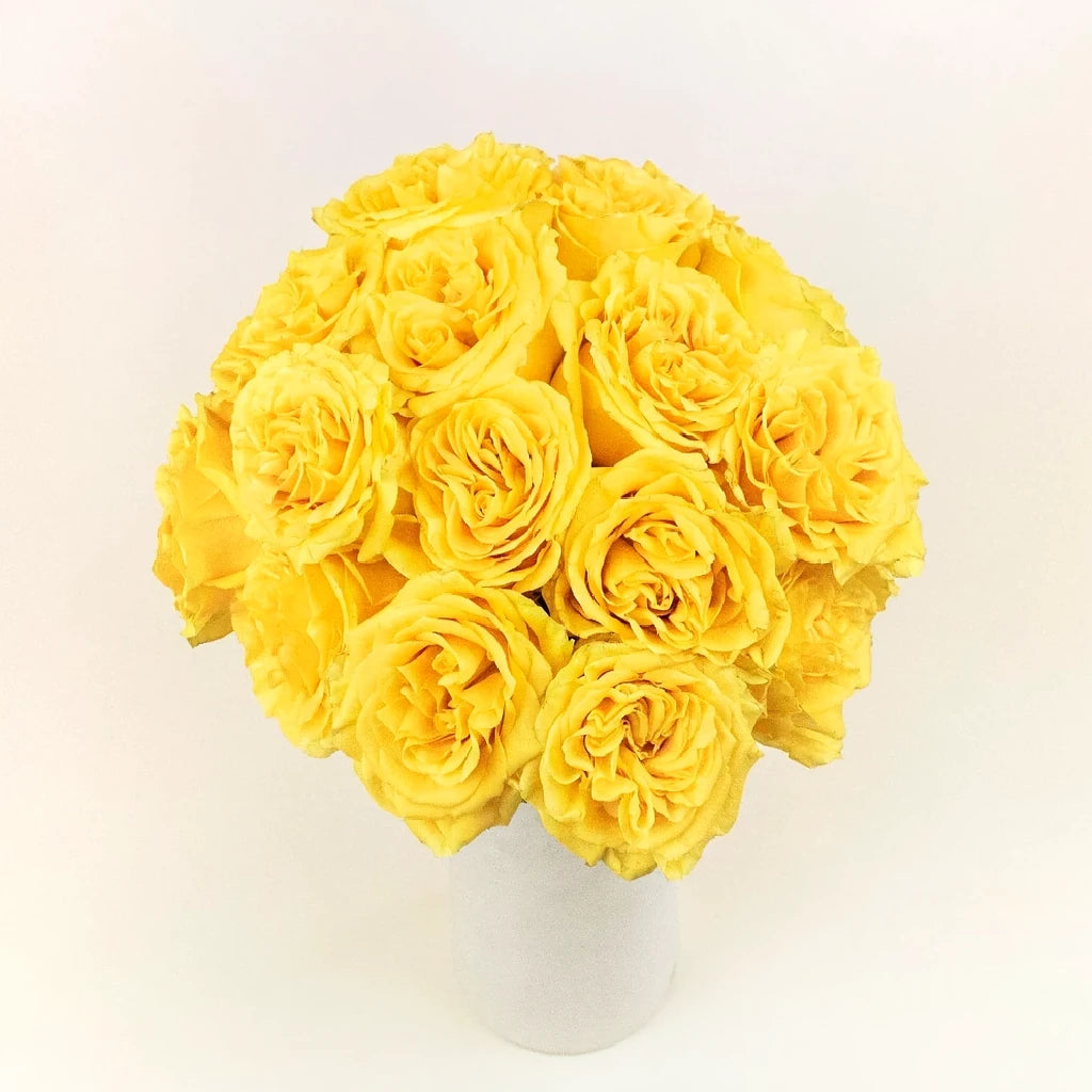 Country Sun Roses Garden - alternative 3