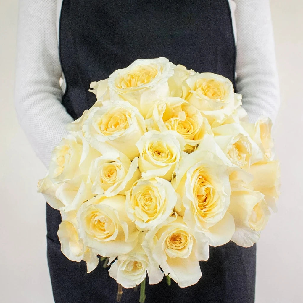 Creme De La Creme Roses Standard - alternative 3