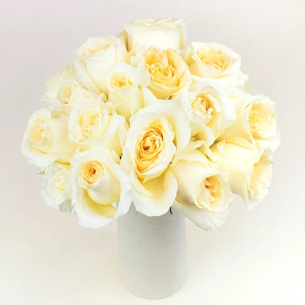 Creme De La Creme Roses Standard - alternative 2