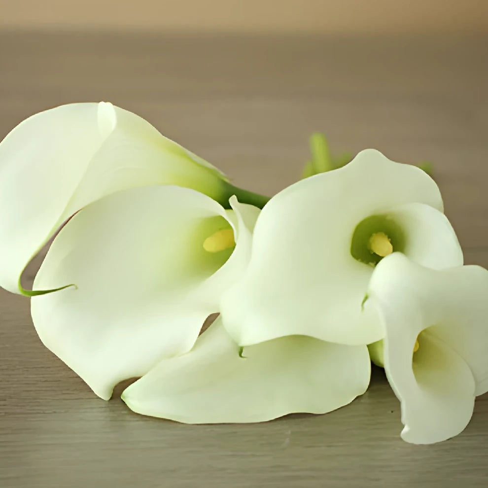 Aspen Calla Lily Mini - main