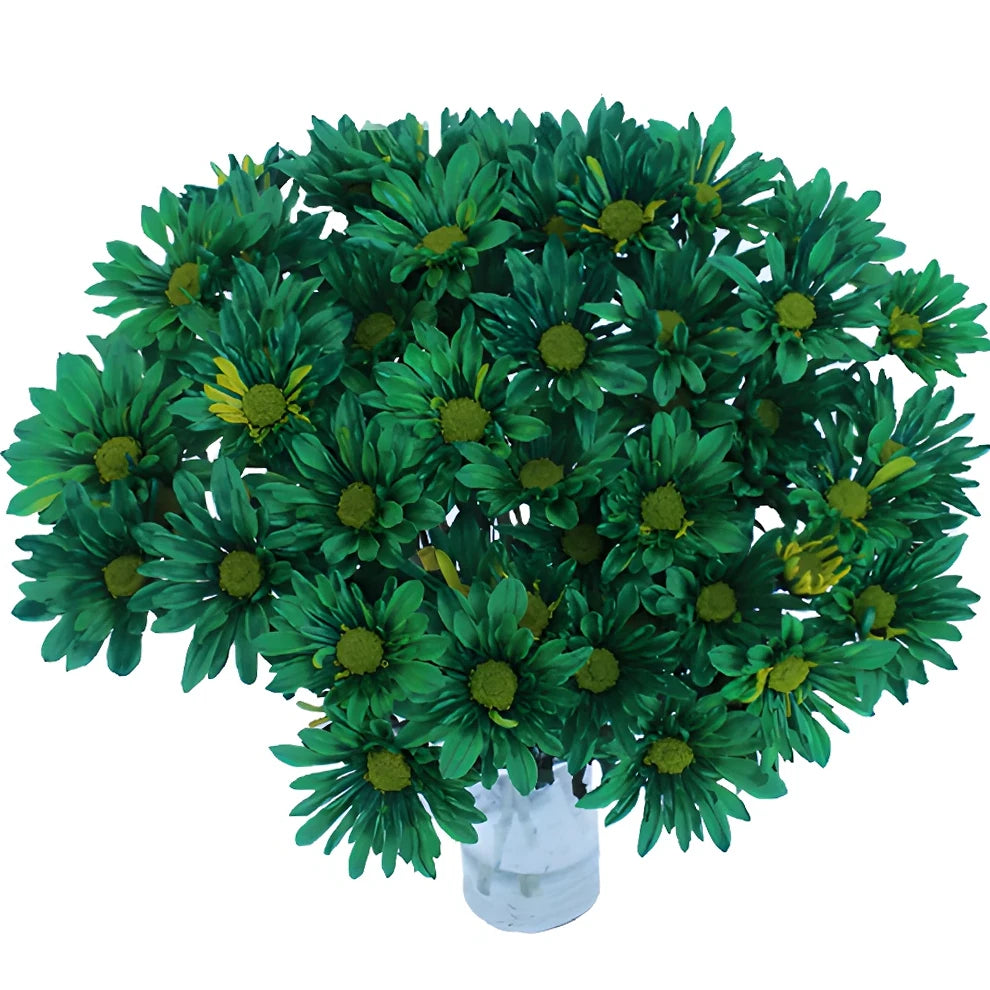 Green Pom Daisy - alternative 1