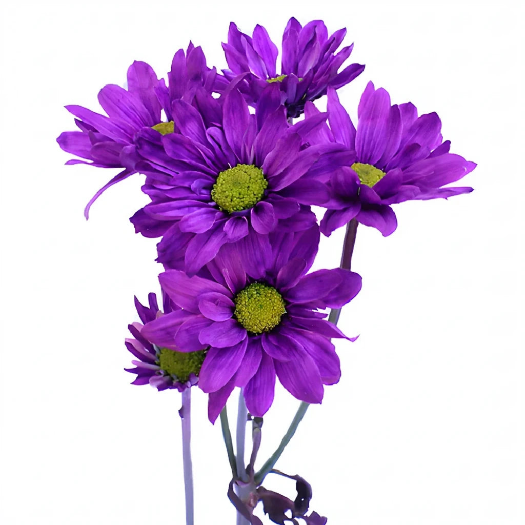 Purple Orchids Leis - alternative 2