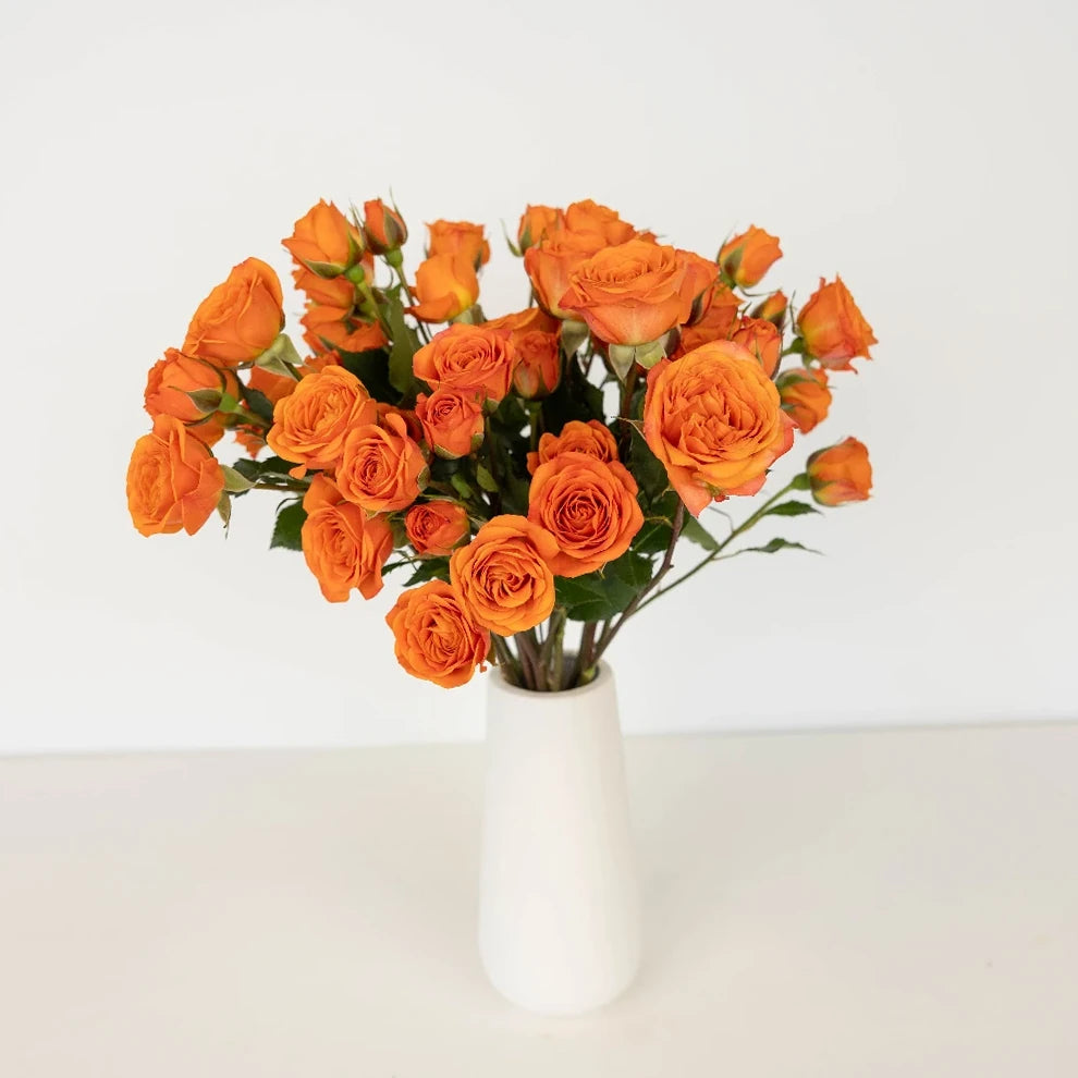 Kelly Roses Spray - alternative 2