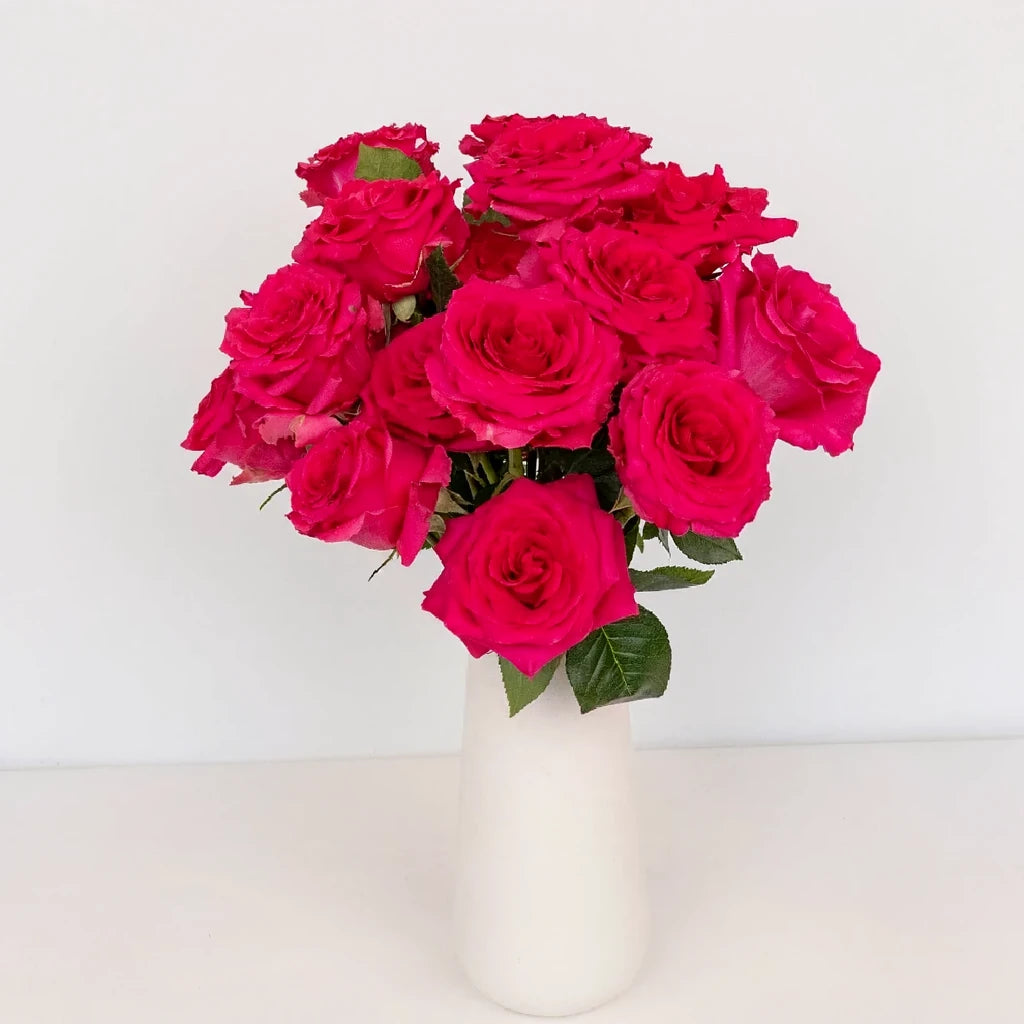 Full Monty Roses Standard - alternative 1