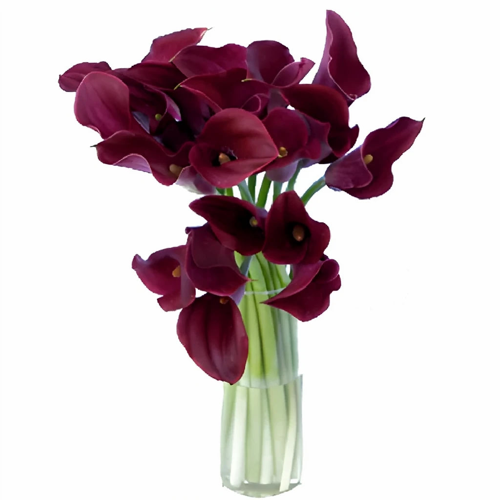 Dark Captain Romance Calla Lily Mini - alternative 2