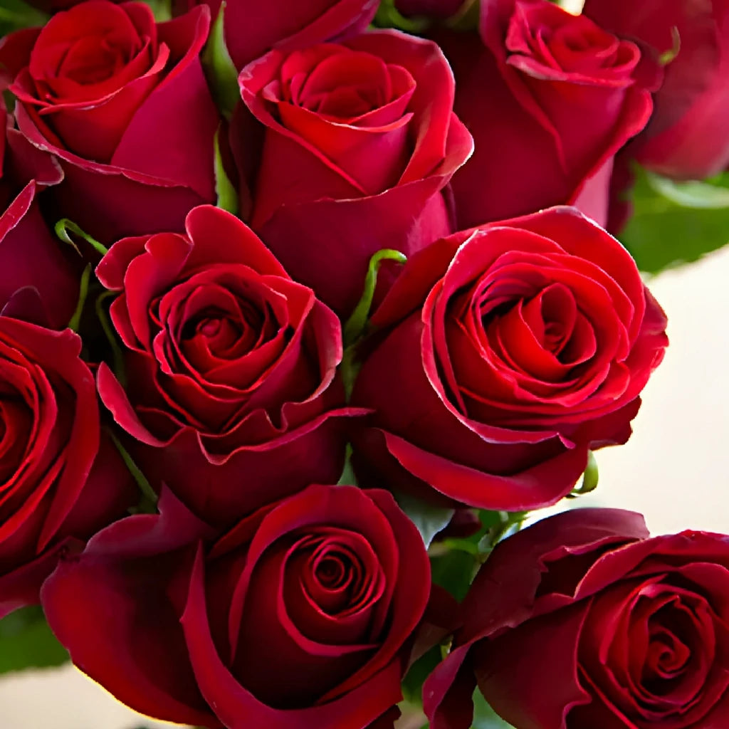 Tinto Roses Standard - alternative 4