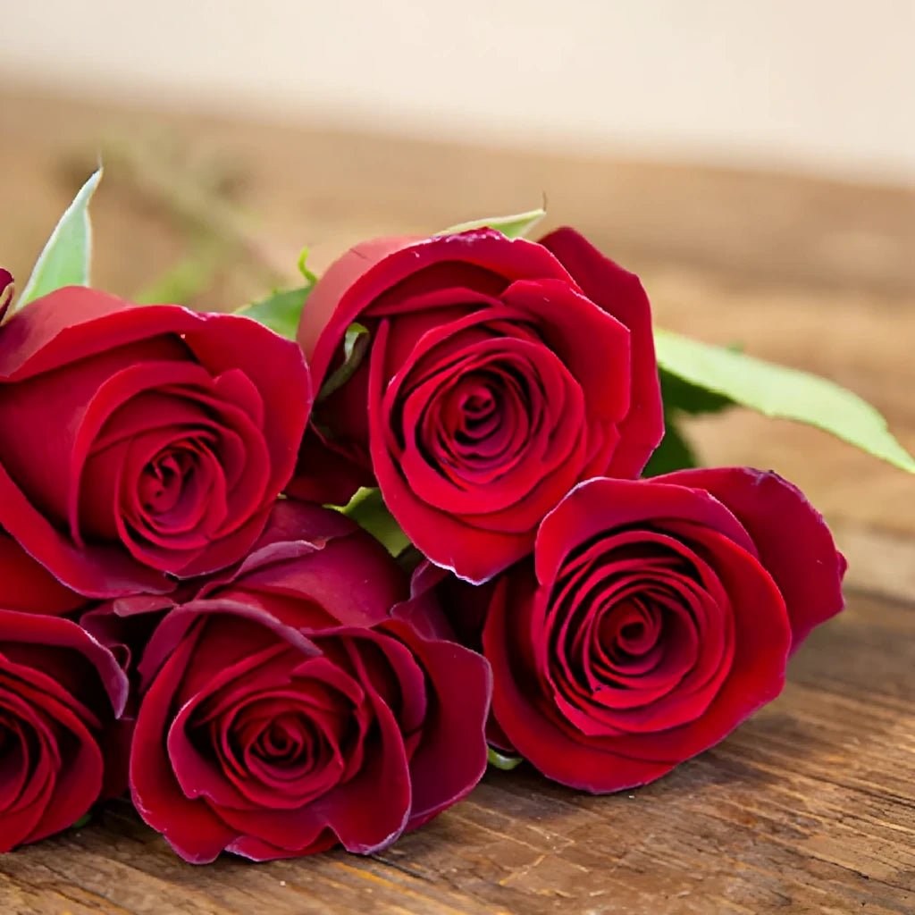 Tinto Roses Standard - alternative 1