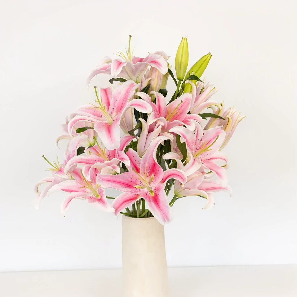 Marlon Lilies Oriental - alternative 2