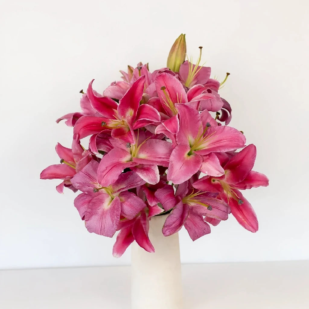 Carbonero Lilies Oriental - main