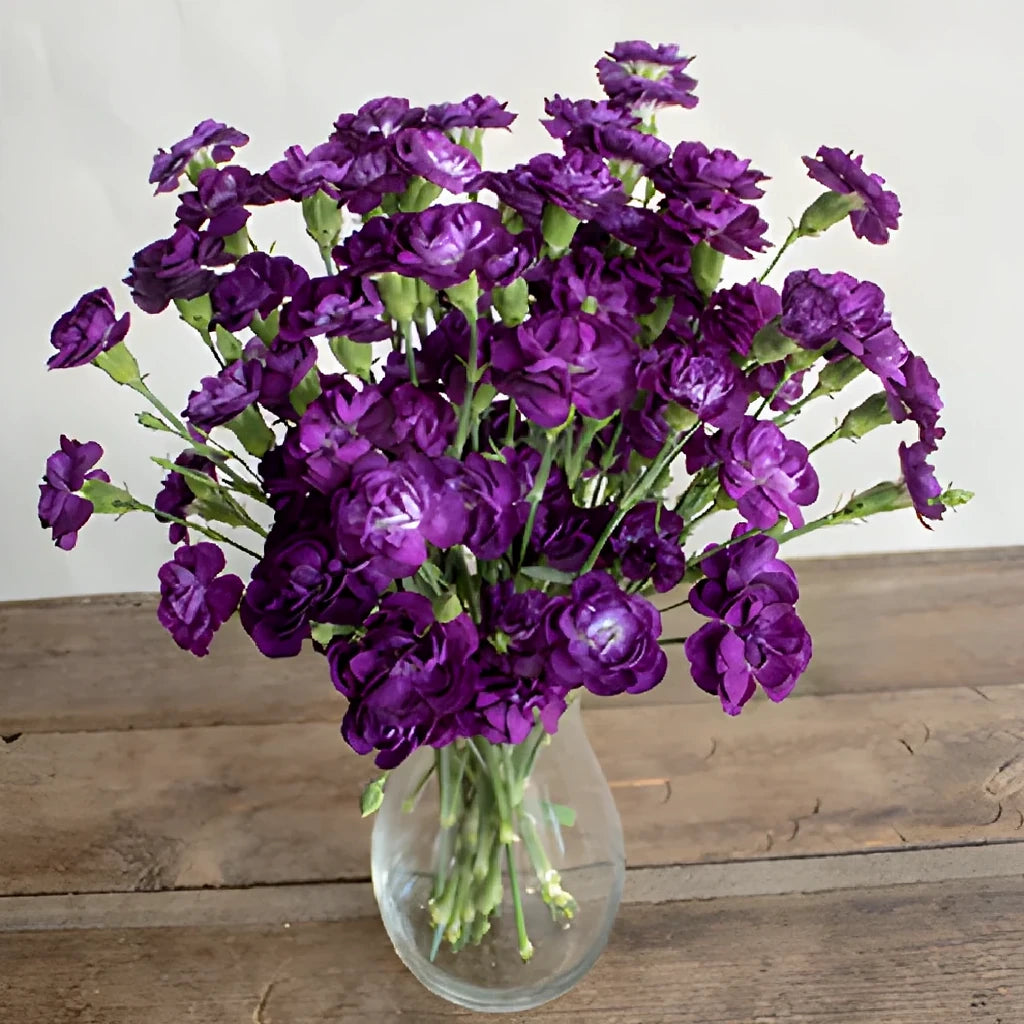 Moonvelvet Carnations Mini - main
