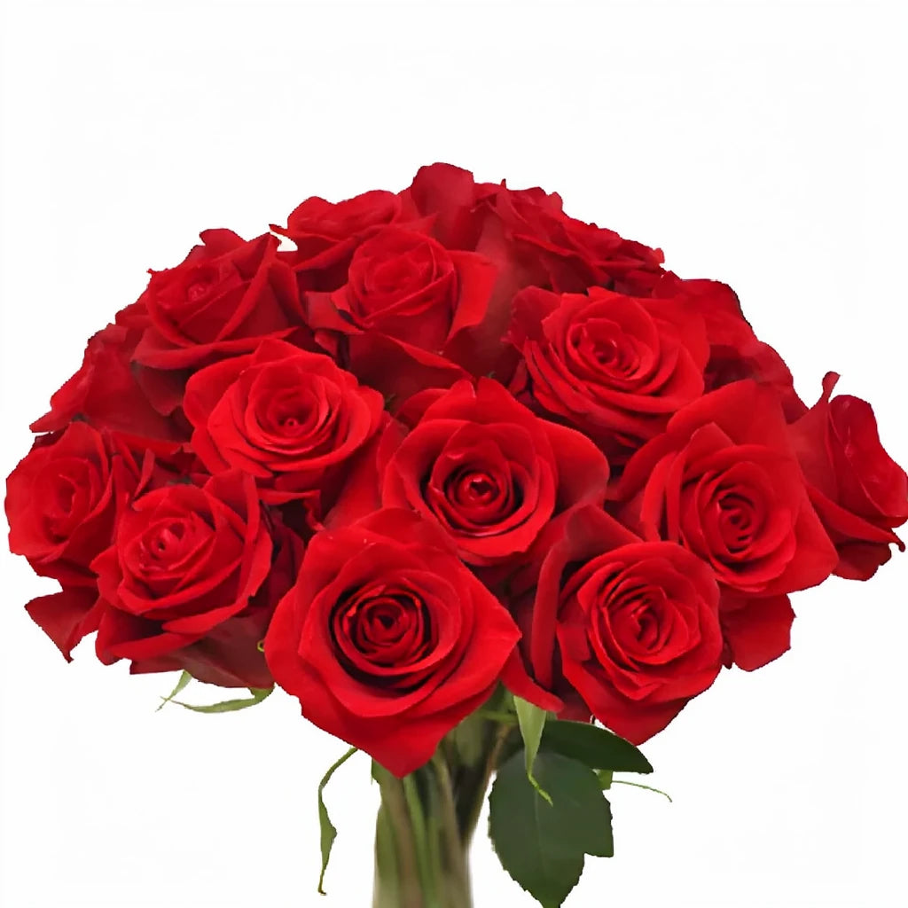 Devotion Roses Standard - alternative 1
