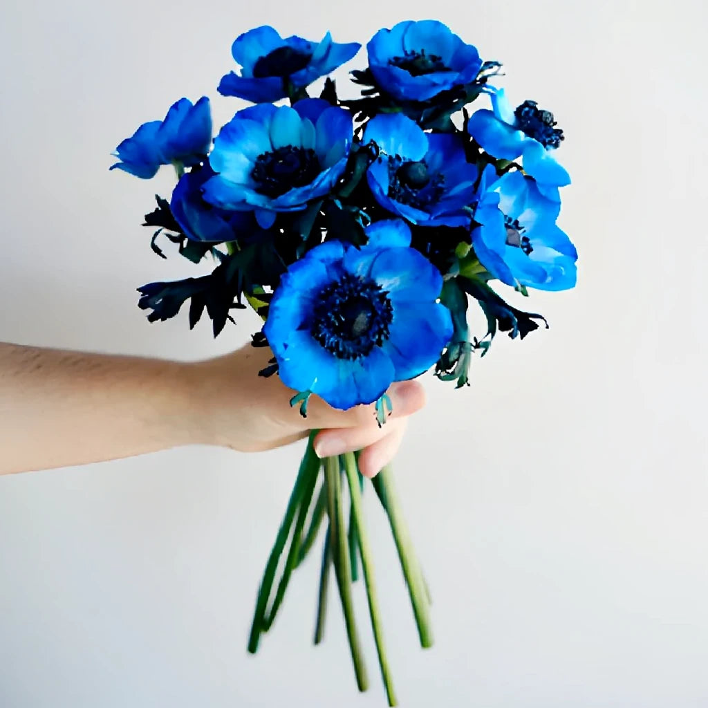 Tinted Anemones - alternative 1