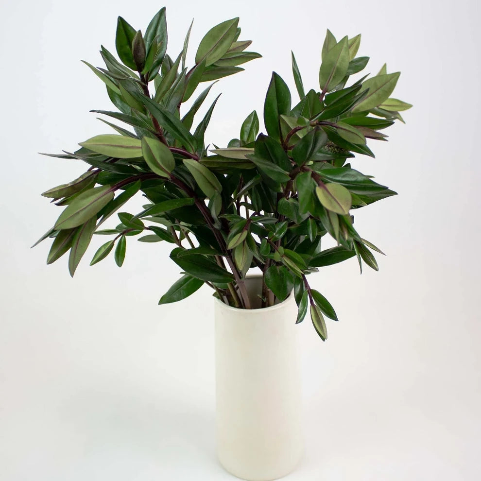 Hebes Greenery - alternative 2