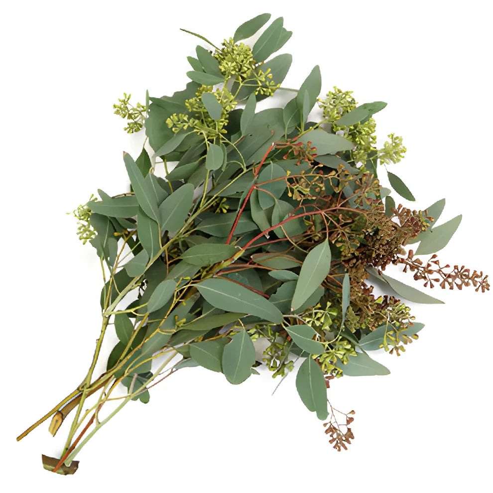 Eucalyptus Willow Seeded Greenery - alternative 4