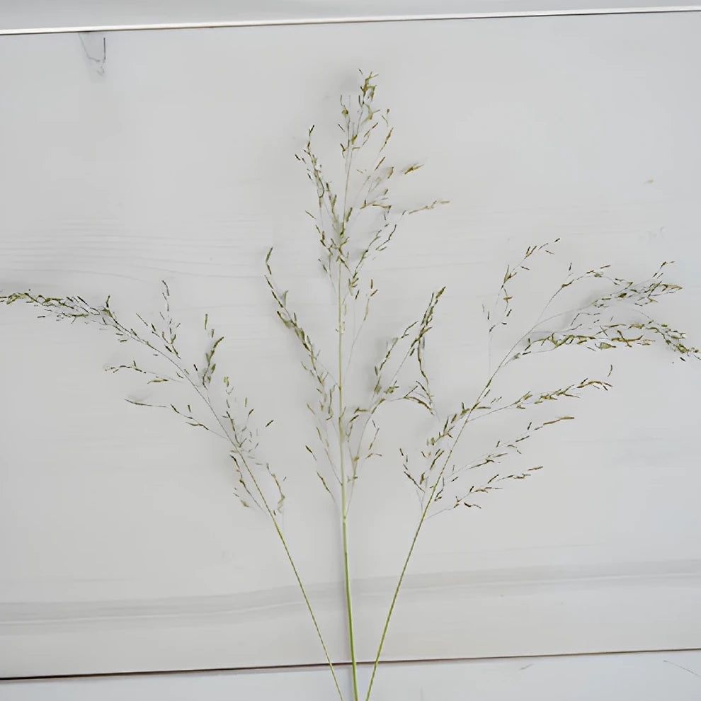 Love Grass Greenery - alternative 1