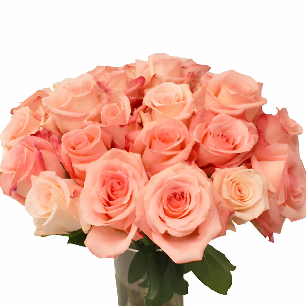 Engagement Roses Standard - main