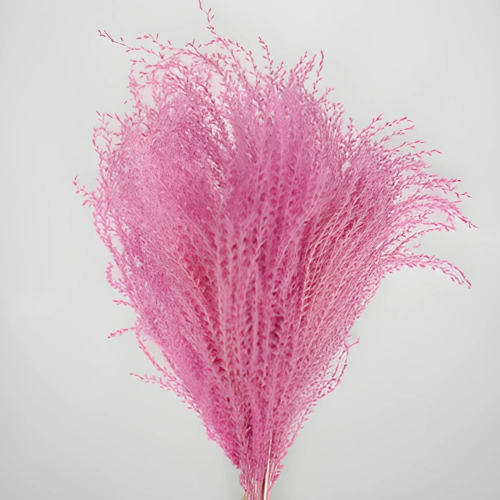 Eulalia Dried - Pink - alternative 2