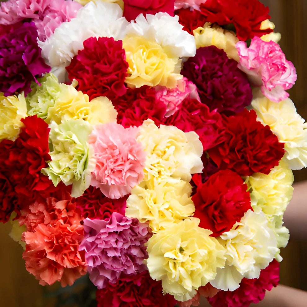 Assorted Carnations Select - main