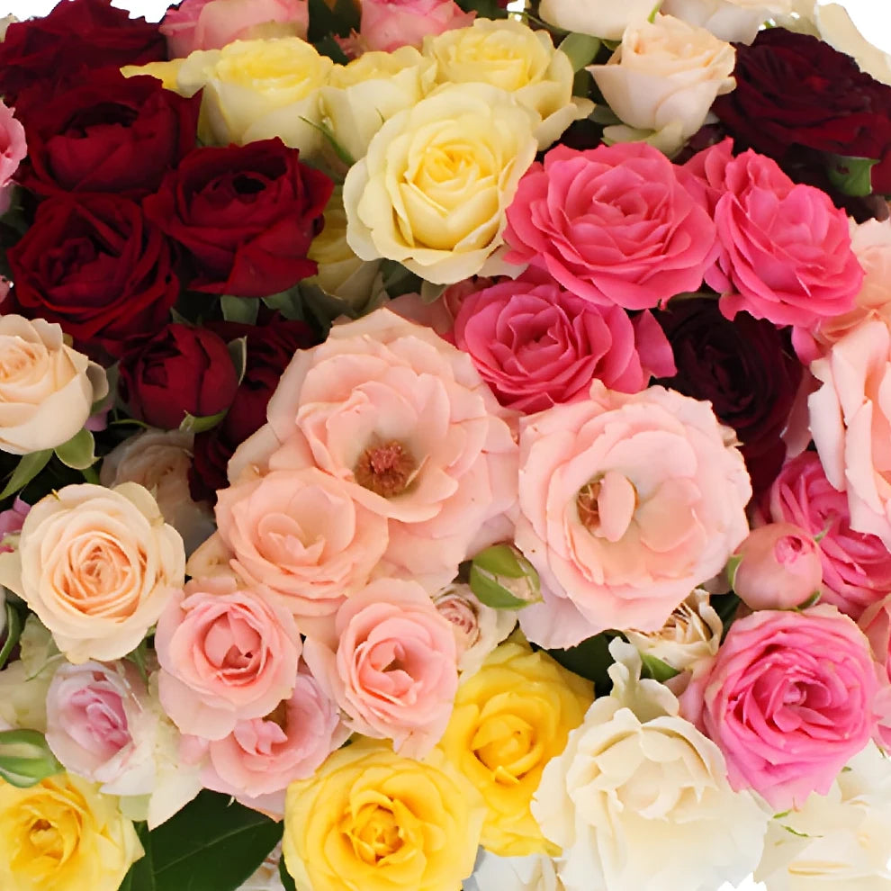 Assorted Roses Spray - alternative 2