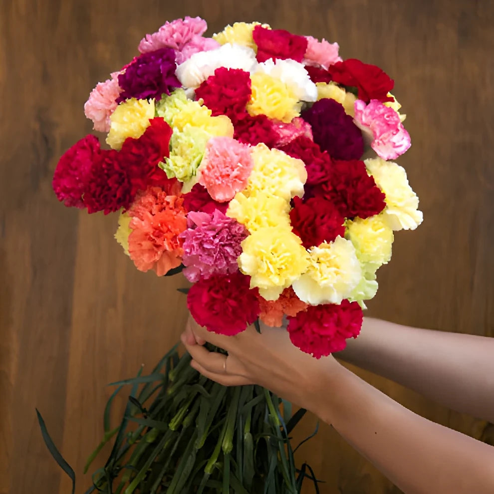 Vday Pack Select Carnations - main