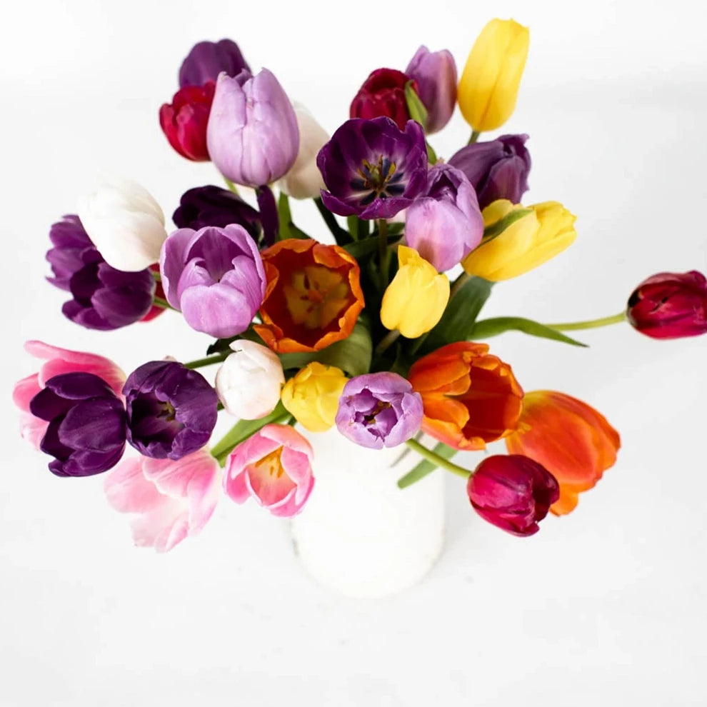 Assorted Tulips Standard - alternative 1