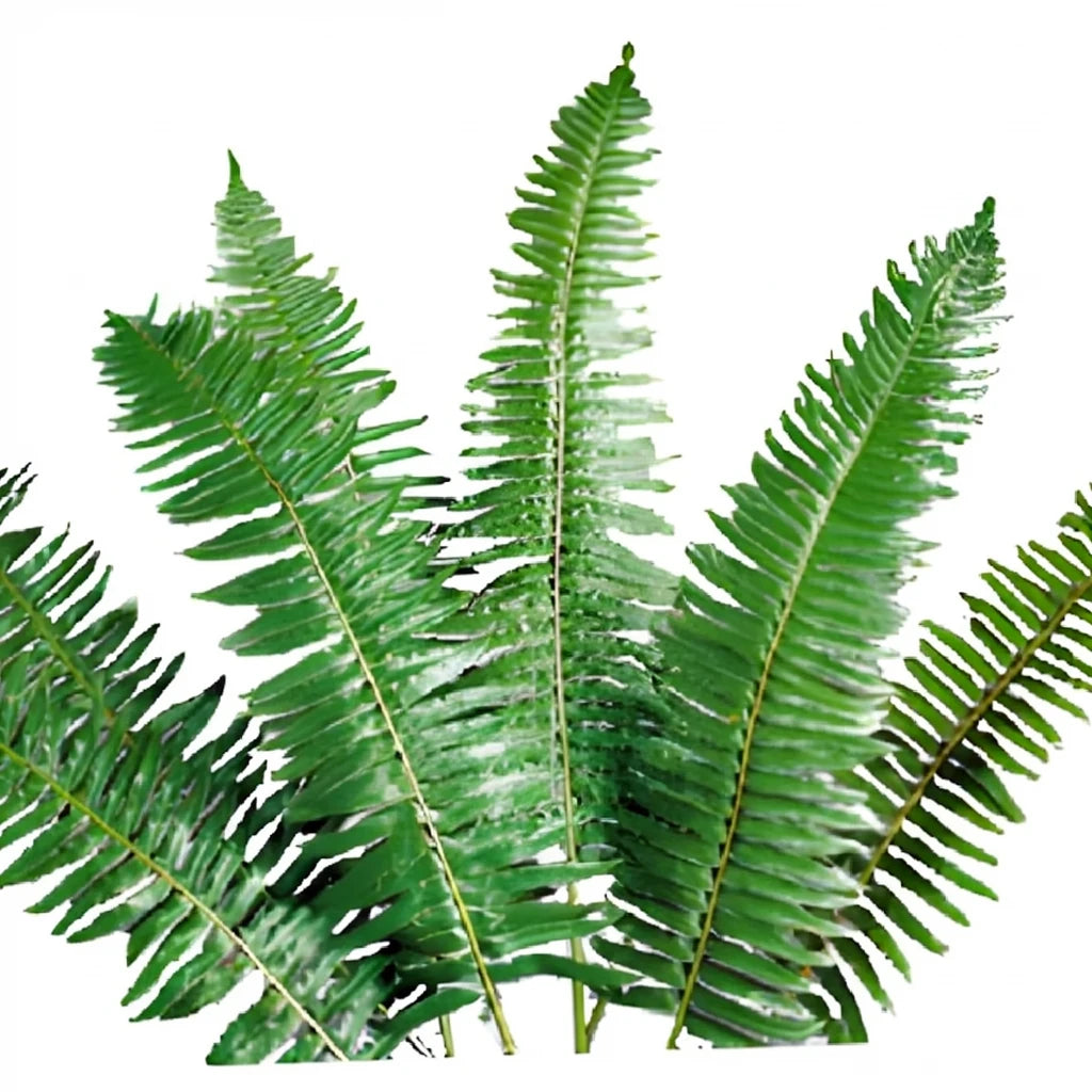Flat Grass Greenery - main