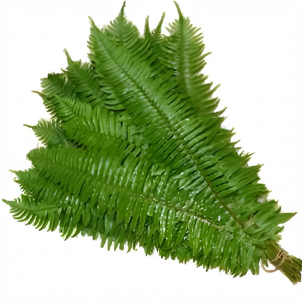 Flat Grass Greenery - alternative 2