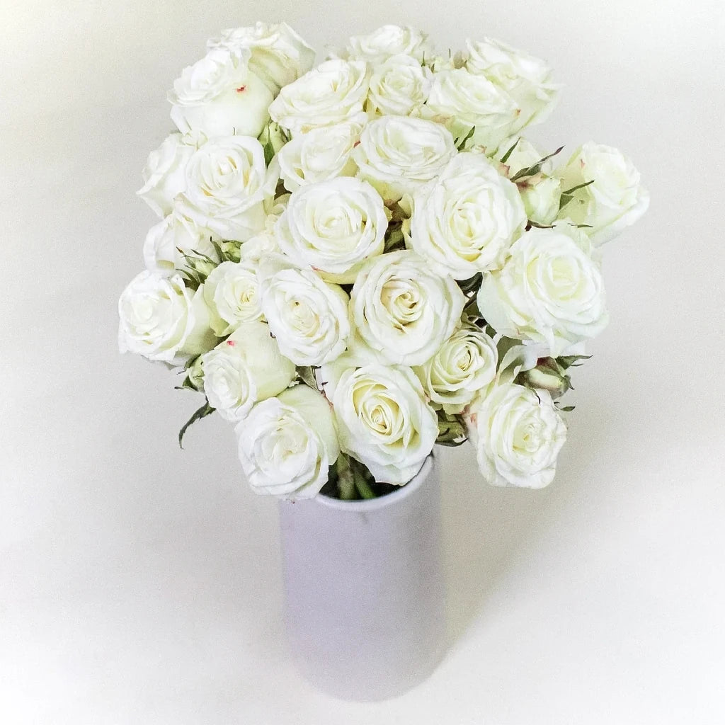 Roses Spray - alternative 1