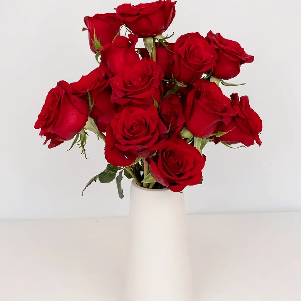 Fortune Roses Standard - alternative 2