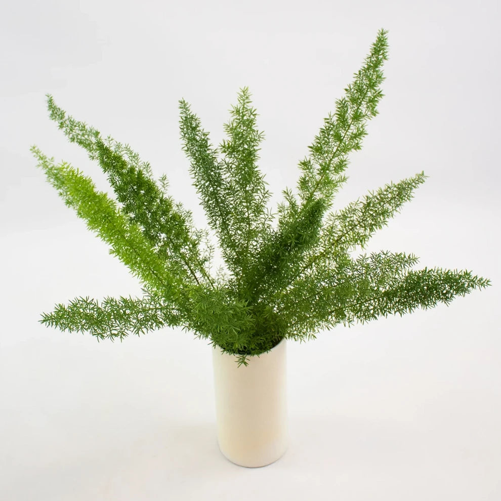 Foxtail Greenery - alternative 1