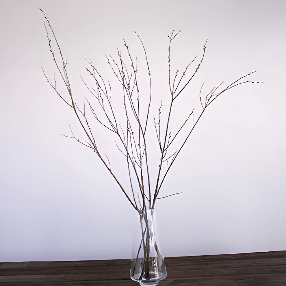 Pussy Willow Branches - alternative 2