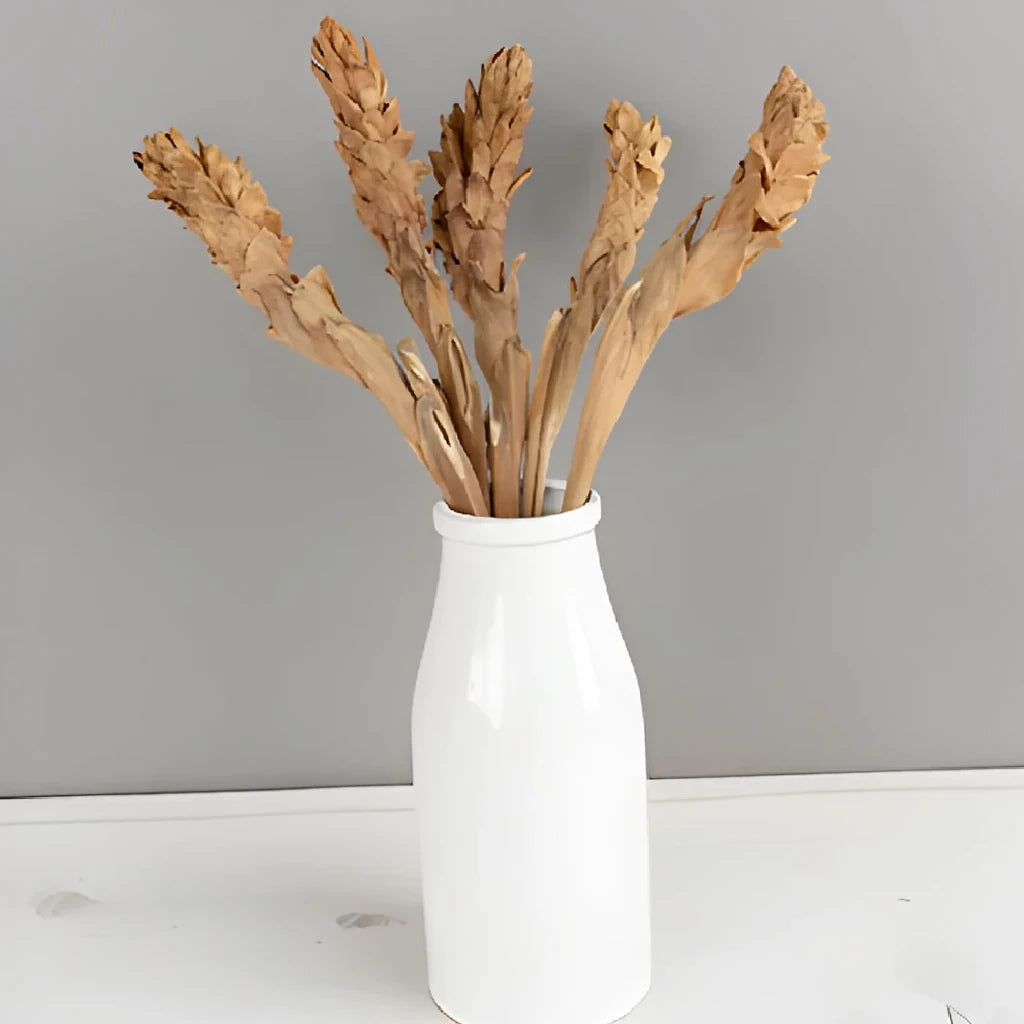 Ginger Dried - alternative 1