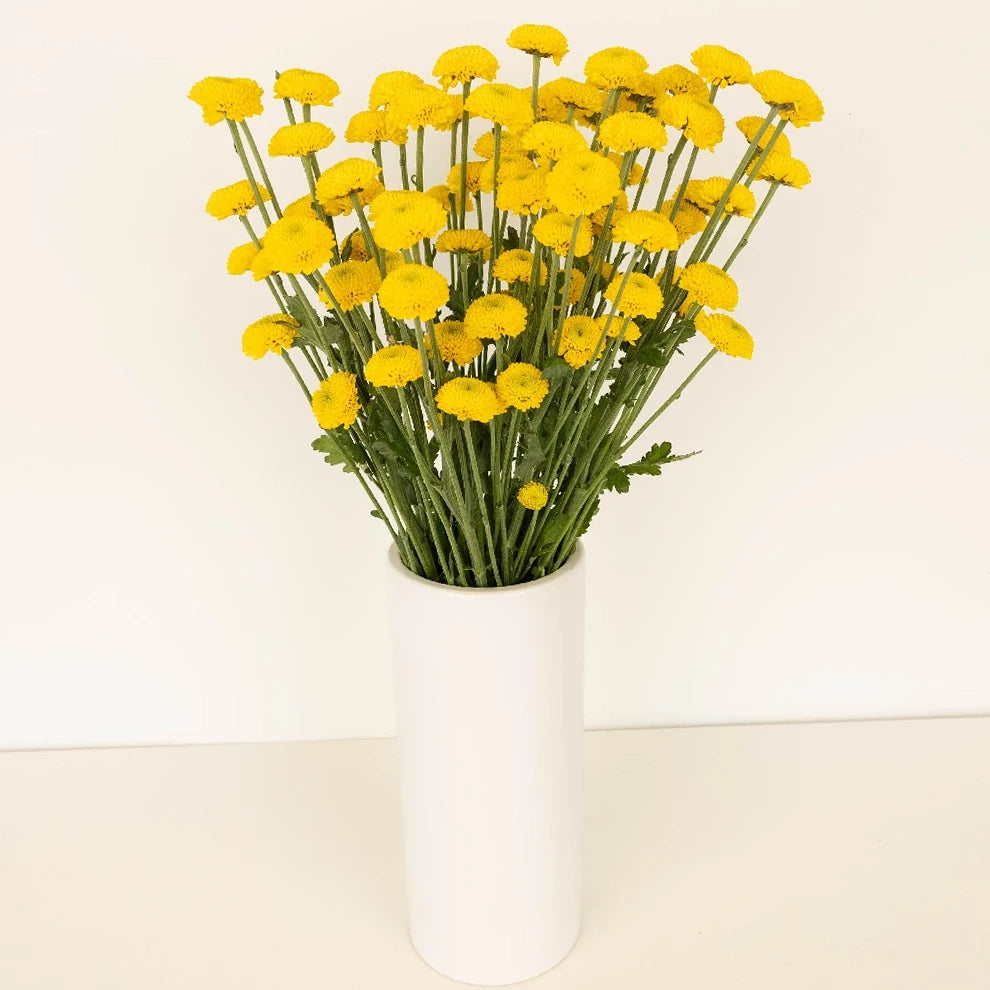 Yellow Pom Button - alternative 1