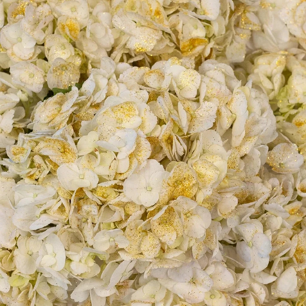 White with Gold Glitter Hydrangeas - alternative 2