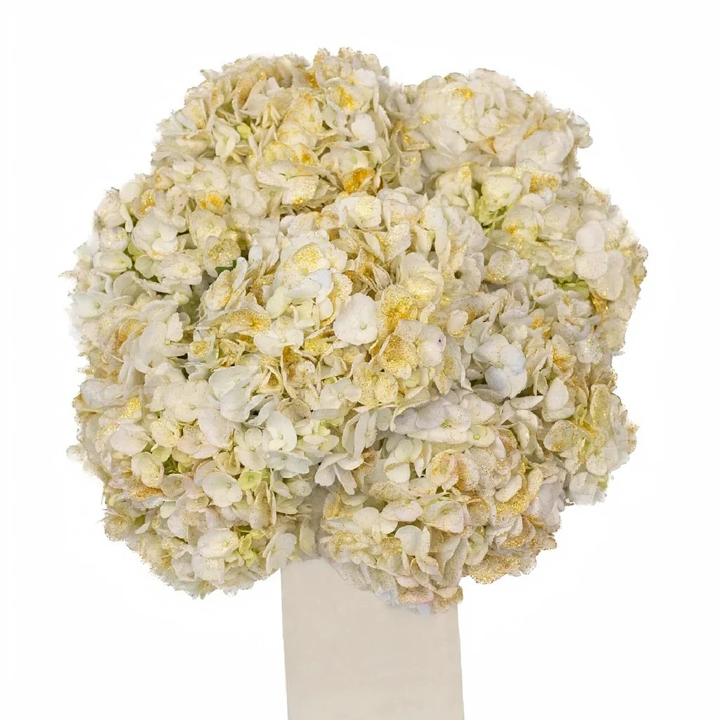 White with Gold Glitter Hydrangeas - alternative 1