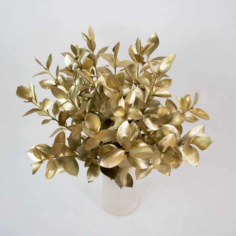 Tinted Ruscus Greenery - alternative 2