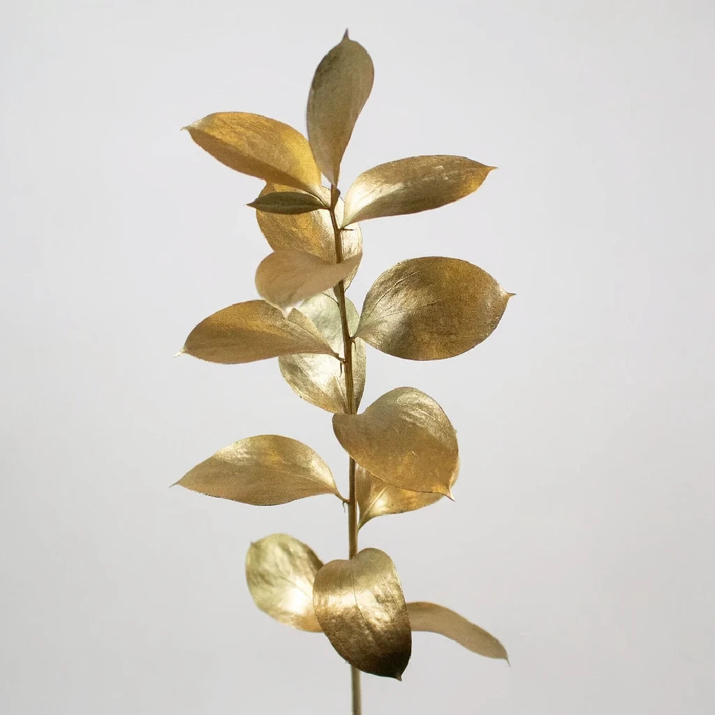 Tinted Italian Ruscus Greenery - alternative 1