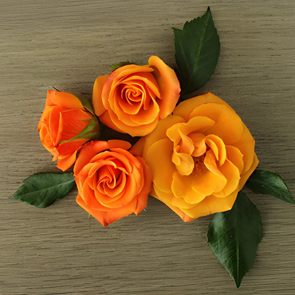 Star Roses Spray - alternative 3