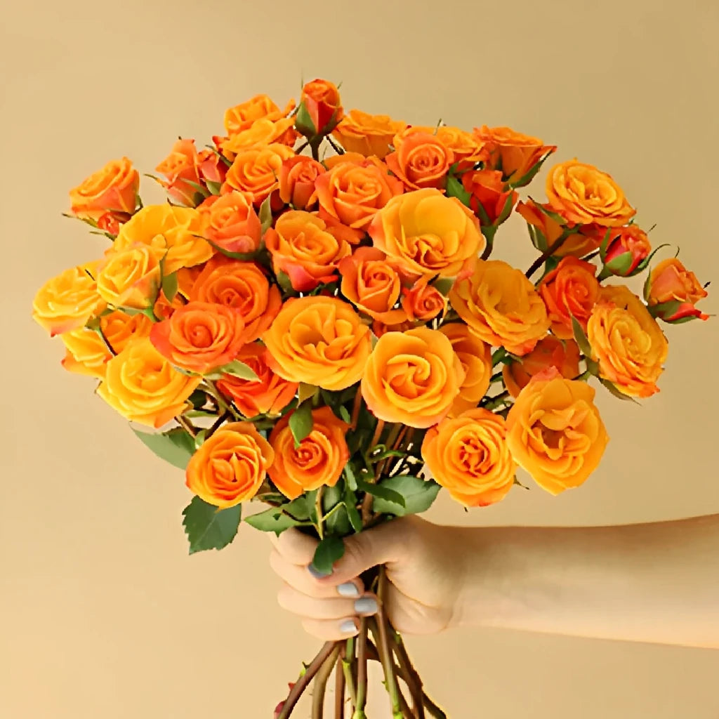 Mambo Roses Spray - alternative 4