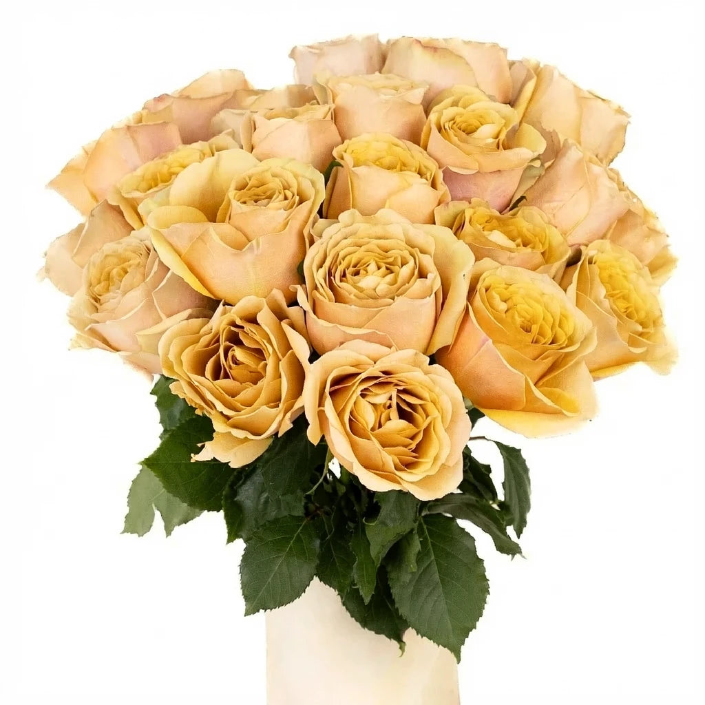 Golden Mustard Roses Garden - alternative 1