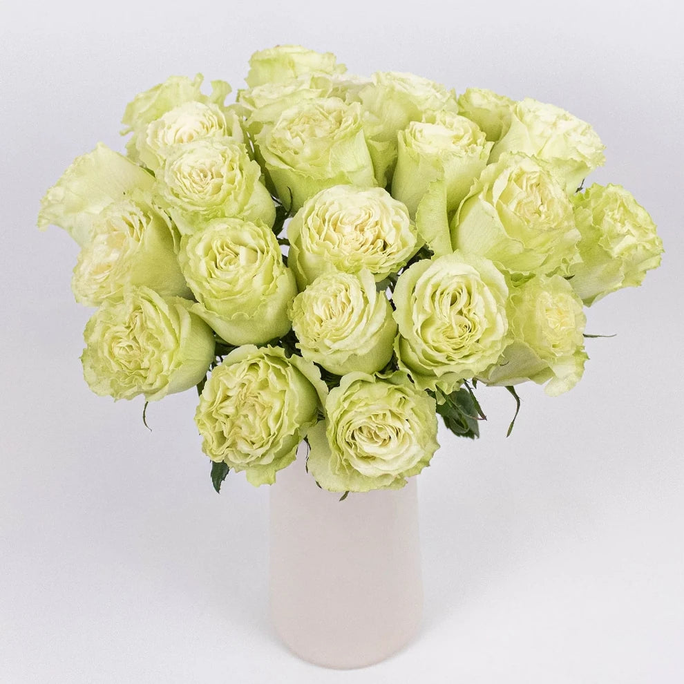 Light Green Standard Lemonade Roses - alternative 1