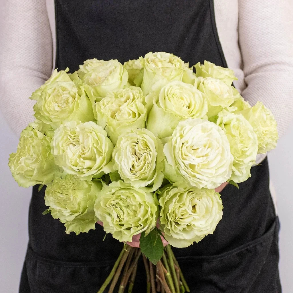 Lemonade Roses Standard - alternative 3