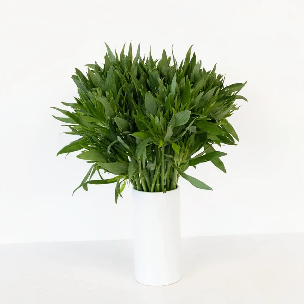 Green Alstroemeria - alternative 1