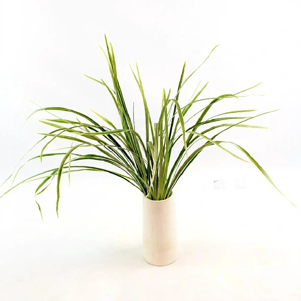 Lily Grass Variegated Greenery - alternative 2